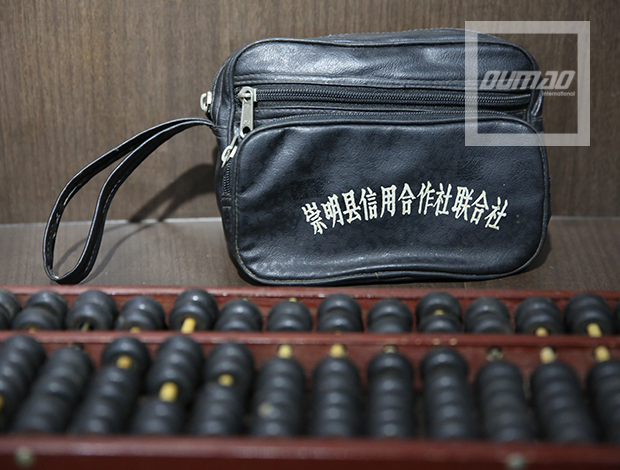Image Caption